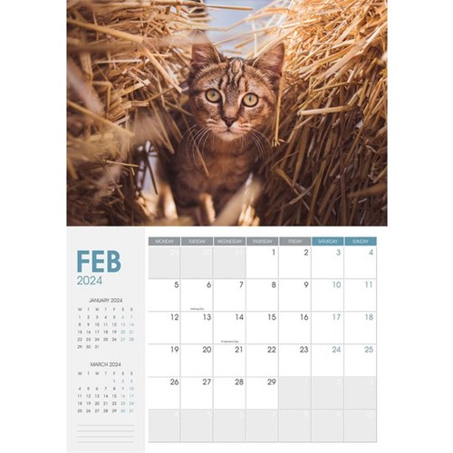 Collins Rosebank A4 Wall Calendar 2024 Cats And Kittens