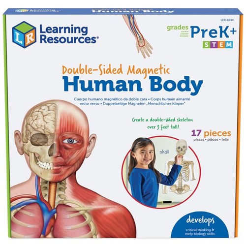 Learning Resources Double Sided Magnetic Human Body