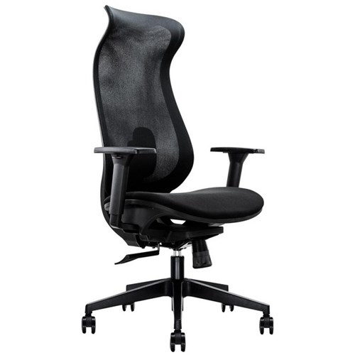 Cygnet Task Chair with Arms Mesh Back/Black