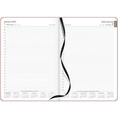 OfficeMax A41 1/2 Hour Appointment Diary A4 1 Day Per Page 2025 Peach