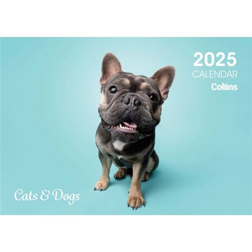 Collins Rosebank Wall Calendar A4 2025 Cats & Dogs