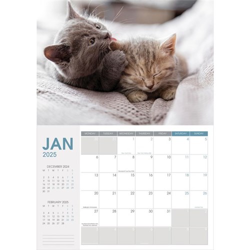 Collins Rosebank Wall Calendar A4 2025 Cats & Dogs