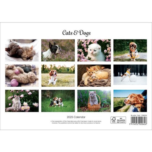 Collins Rosebank Wall Calendar A4 2025 Cats & Dogs