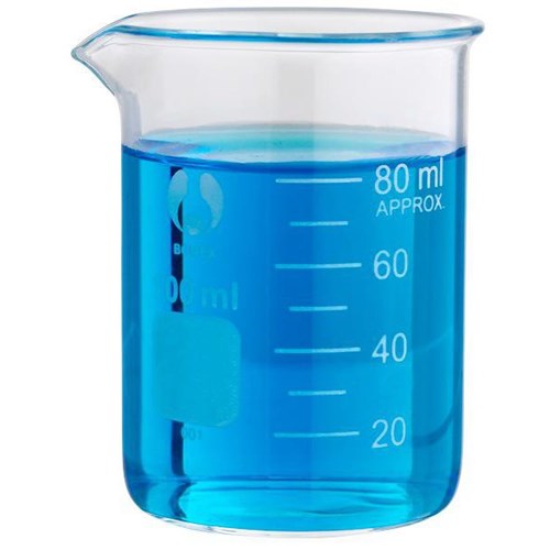 Low Form Glass Beaker 100ml