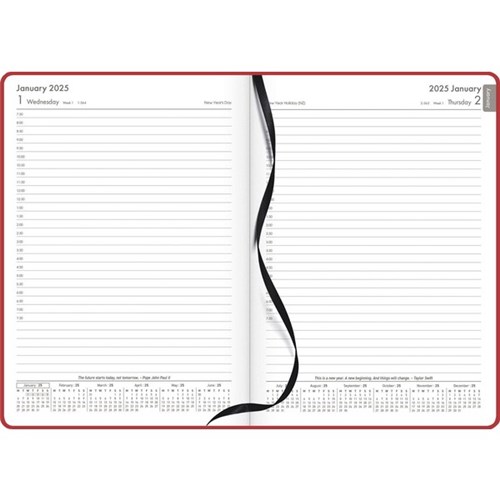 OfficeMax A51 1/2 Hour Appointment Diary A5 1 Day Per Page 2025 Red