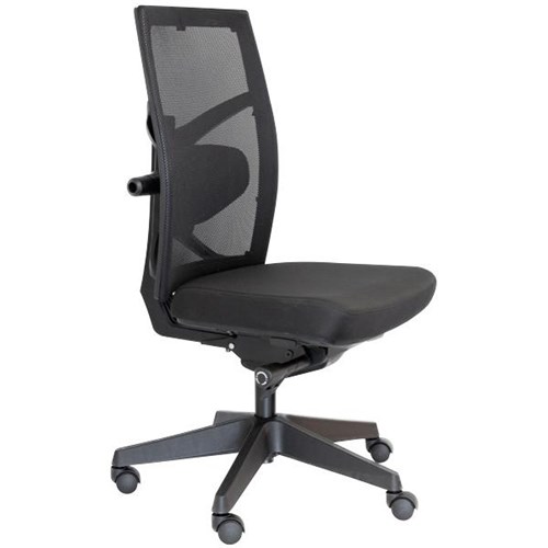 Tune Task Chair Mesh/Black Nylon Base