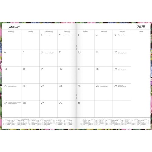 Collins A4 Diary Planner Month To View 2025 Birds Bright Colours