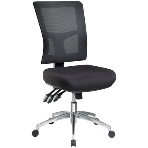 Enduro Task Chair Mesh Back Black/Alloy