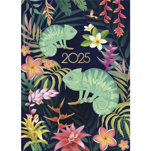 Collins A51 Diary A5 Day Per Page 2025 Beautiful Blooms Assorted Designs