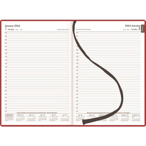 Winc A41 1/2 Hour Appointment Diary Soft Touch A4 1 Day Per Page 2024 Red