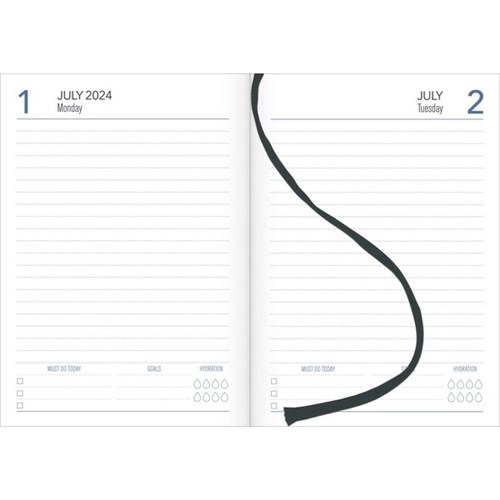 Collins A41A Mid-Year Diary A4 1 Day Per Page 1 July 2024 to 30 June 2025 Fashion Year Black/Gold